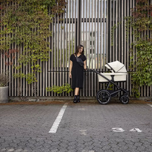 Thule Urban Glide 4-wheel