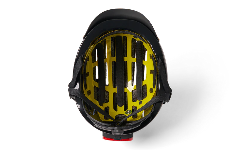 Chapter+ MIPS LIMITED